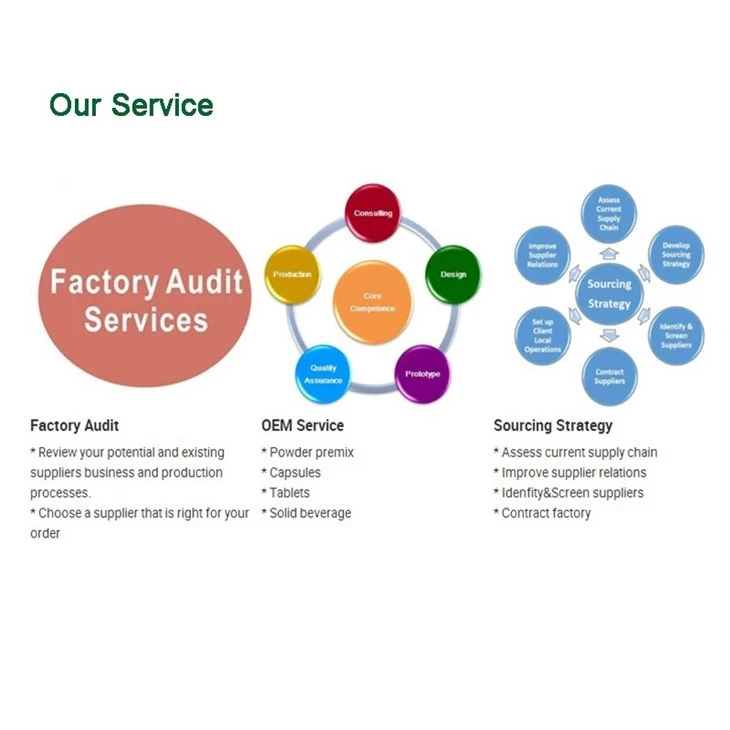 Blueberry Juice Powder factory