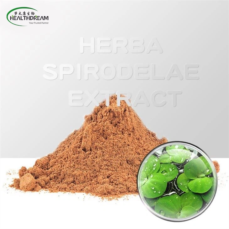 Herba Spirodelae 추출물